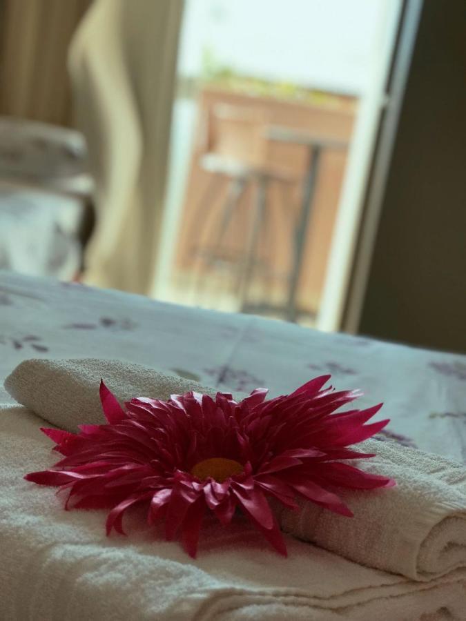Pousada Rota Das Praias Penha  Eksteriør bilde